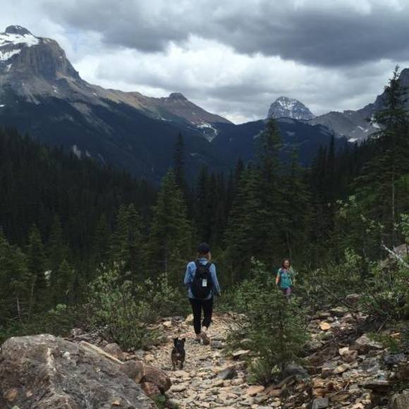 Meet your Posher, Alison - Picture 1 of 1